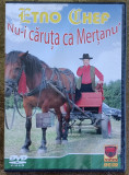 Etno chef , dvd cu muzică , Nicolae Guță , Sandu Ciorba