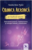 Cronica Akashică pe &icirc;nțelesul tuturor - Paperback brosat - Sandra Anne Taylor - For You
