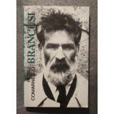 Petru Comarnescu - Br&acirc;ncuşi: mit şi metamorfoză &icirc;n sculptura contemporană