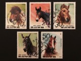 Coreea de Nord (DPR Korea) 1991 - Set Complet de 5 Mărci Poștale "Animale Ecvide / Cai și Măgari" (Horses / Equidae) - Cod: -A992