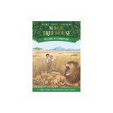 Lions at Lunchtime