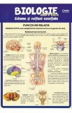 Biologie - Clasa 7 - Scheme si notiuni esentiale - Silvia Olteanu, Camelia Manea, Iuliana Tanur