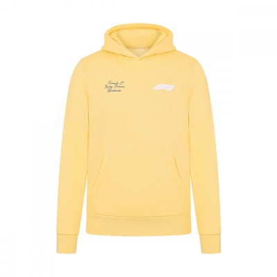 Formula 1 hanorac de bărbați cu glugă RDW Hoody Pale Banana F1 2024 - L foto