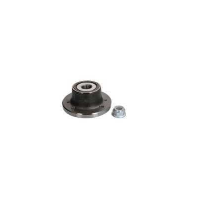 Set rulment roata RENAULT LAGUNA I Grandtour K56 BTA H2R033BTA foto