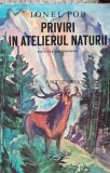 Priviri in atelierul naturii - 1982 - Ionel Pop (AD1), Ion Creanga