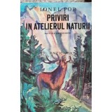 Priviri in atelierul naturii - 1982 - Ionel Pop (AD1)