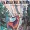 Priviri in atelierul naturii - 1982 - Ionel Pop (AD1)