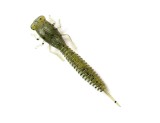 Năluca soft Fanatik X-Larva 3 inch culoare 001