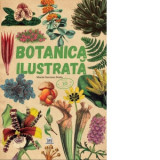 Botanica ilustrata - Maria Carmen Soria