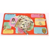 Uimitorul corp uman. Micii exploratori