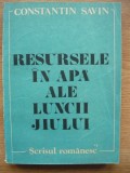 CONSTANTIN SAVIN - RESURSELE IN APA ALE LUNCII JIULUI - 1990