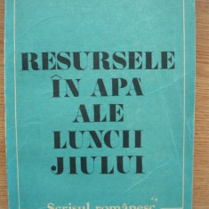 CONSTANTIN SAVIN - RESURSELE IN APA ALE LUNCII JIULUI - 1990