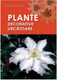 Plante decorative urcatoare | Adrian Margarit, Cetatea de Scaun
