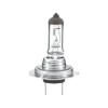 Hella Bec incandescent