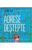 Adrese destepte - Iulian Filip