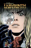 Jim Henson's Labyrinth: Complete Short Story Collection: Beyond the Goblin City