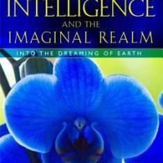 Plant Intelligence and the Imaginal Realm: Beyond the Doors of Perception Into the Dreaming of Earth