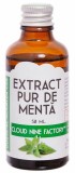 Extract Pur Menta 50ml Cloud Nine Factory - Condiment Alimentar Natural, Ulei Menta Presat La Rece