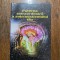 Puterea extraordinara a subconstientului tau - Joseph Murphy / R4P3F