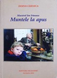 Maestrul Ion Irimescu: Muntele la Apus - Doina Cernica, 2010, Editura Musatinii, Album de Artă, Carte