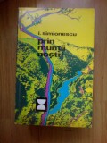 E1 PRIN MUNTII NOSTRI -I.SIMIONESCU