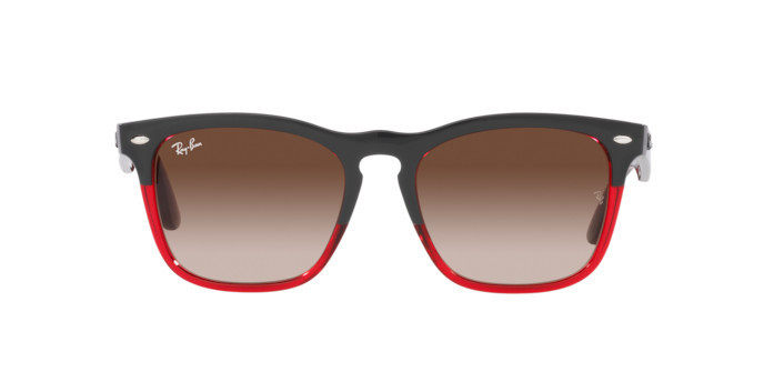 Ray-Ban Steve Ochelari de Soare RB 4487 6631/13