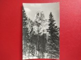 CARTE POSTALA - RPR - BICAZ - PIATRA ALTARULUI