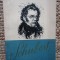 Franz Schubert &ndash; Dan Spataru