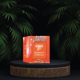 Odorizant Betisoare Satricvm Arancia &amp; Cannella