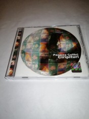 Pasarea Colibri Ciripituri Cd Roton 1999 NM