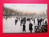 Bucuresti Patinaj in Cismigiu / patinoar