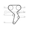 Curea distributie Contitech CT879, CONTINENTAL CTAM
