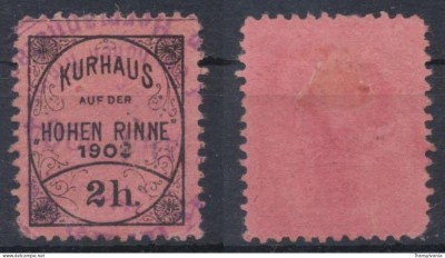 Posta locala Paltinis Hohe Rinne 1903 timbru 2 heller dantelat stampilat foto
