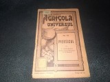 C LUPASCU - PIERSICUL BIBLIOTECA AGRICOLA A ZIARULUI UNIVERSULUI