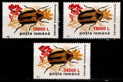 Romania 2000, LP 1516, Insecte 1996 - supratipar &amp;quot;floare de mustar&amp;quot;, seria, MNH! foto