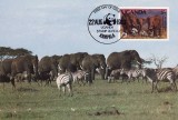 C2114 - Uganda 1983 - fauna carte maxima