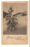 Carte Postala de sarbatori*1949, Circulata, Fotografie