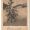 Carte Postala de sarbatori*1949