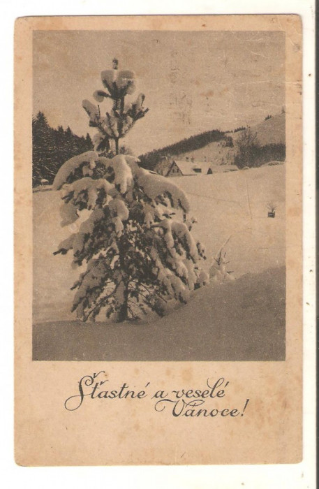 Carte Postala de sarbatori*1949