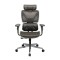 Scaun de birou ergonomic Performance, RONDI, cu spatar din plasa, suport lombar ajustabil, mecanism Synсhro, negru