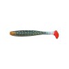 SHAD JAXON INTENSA INB 10CM F