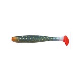 SHAD JAXON INTENSA INB 10CM F