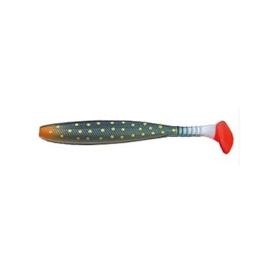 SHAD JAXON INTENSA INB 10CM F foto