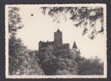 Fotografie - Castelul Bran