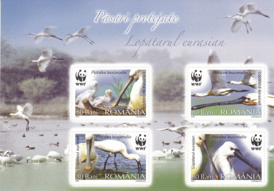 ROMANIA 2006 LP 1744 c PASARI PROTEJATE LOPATARUL EURASIAN WWF BLOC MNH foto