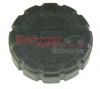 Buson vas expansiune antigel MERCEDES CLS (C219) (2004 - 2011) METZGER 2140048