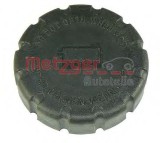 Buson vas expansiune antigel MERCEDES S-CLASS Cupe (C216) (2006 - 2013) METZGER 2140048