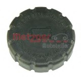 Buson vas expansiune antigel MERCEDES S-CLASS (W221) (2005 - 2013) METZGER 2140048