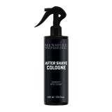 Menspire Professional Serenity Spicy - Lotiune After Shave cu Aroma Condimentata, 400 ml, Barbati