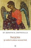 &Icirc;ngerii și m&acirc;ntuirea noastră - Paperback brosat - sf. Serafim al Dmitrovului - Sophia